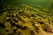 Thợ lặn tìm thấy những chai rượu sâm panh 175 năm tuổi