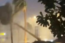 TQ: Bão Yagi gây thiệt hại 113,64 nghìn tỷ cho Tp. Văn Xương, chiếm 86% GDP hàng năm