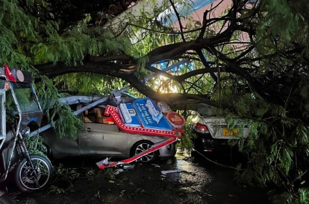 PVI và AIA công bố mức bồi thường thiệt hại do bão Yagi