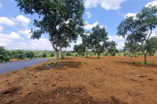 BĐS đóng băng: Đất nền Bảo Lộc chỉ có 3-4 giao dịch mỗi ngày