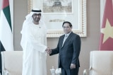 uae muon xay dung trusng tam trung chuyen va du tru cac san pham dau mo tai viet nam
