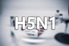 Giáo sư virus học Gintsburg người Nga cảnh báo về đại dịch “cúm mèo” toàn cầu