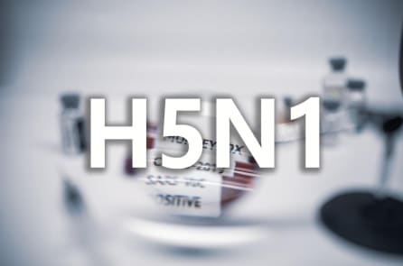 Giáo sư virus học Gintsburg người Nga cảnh báo về đại dịch “cúm mèo” toàn cầu