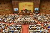 quoc hoi