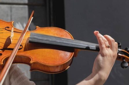 Nhạc sĩ biểu diễn violin, bất ngờ thu hút cả đàn rùa