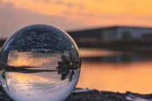 Những bức ảnh macro tuyệt đẹp chụp bằng điện thoại di động