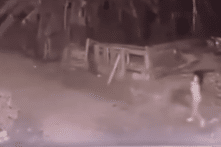 Vụ bé gái bị 2 con chó béc giê cắn chết: Chủ nuôi bị phạt tù