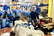 Hưng Yên: Khởi tố chủ cơ sở dùng hóa chất tăng trưởng sản xuất giá đỗ