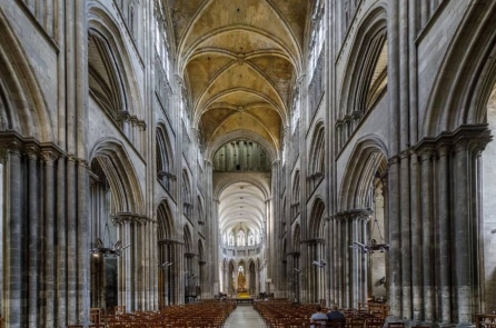 Trái tim nước Pháp: Câu chuyện về Nhà thờ Đức Bà Paris