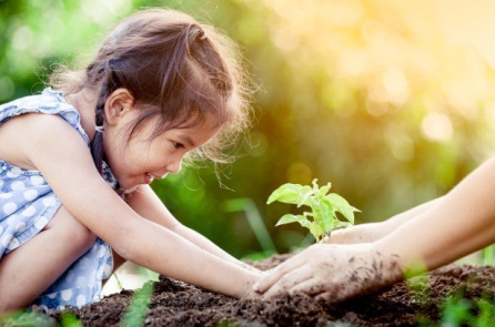 Nền giáo dục gia đình tốt nhất: ‘thêm 3, bớt 3, và 3 không”