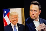 Trump Musk