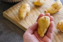 Khoai tây, khoai lang, hành tây, đậu phộng nảy mầm – còn ăn được không?