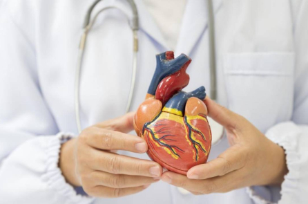 Bệnh tim: Các phương pháp điều trị và cách tiếp cận tự nhiên