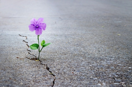 Đời người không thuận lợi đa phần là do ‘sai góc nhìn’