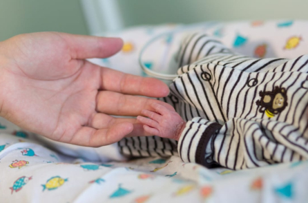 Bác sĩ lấy tử cung ra khỏi mẹ bầu để phẫu thuật cứu thai nhi