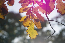 Phía sau khoảnh khắc tươi đẹp là những câu chuyện thầm lặng