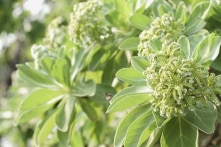 Nhân sinh cảm ngộ: Không vượt quá khuôn phép