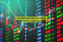 Chứng khoán tuần 10-15/3/2025: Bất động sản tăng mạnh, công nghệ thông tin chìm trong sắc đỏ