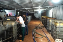 Tái chế hàng nghìn lít nhớt thải, cơ sở ở Bà Rịa – Vũng Tàu bị phạt hơn 800 triệu đồng