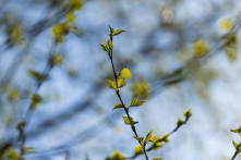 Nhân sinh cảm ngộ: Thấu hiểu quan trọng hơn phán xét