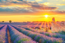 Nhân sinh cảm ngộ: Bỏ lỡ màn đặc sắc nhất của lễ hội