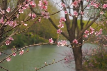 Nhân sinh cảm ngộ: Đập cát trên sông