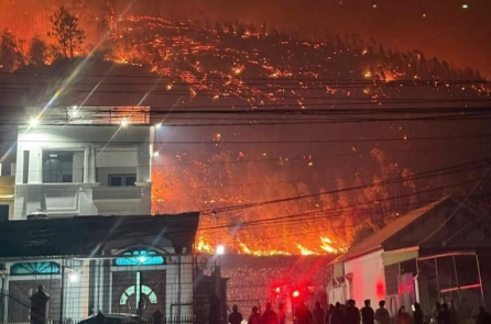 Liên tiếp hai vụ cháy rừng tại Quảng Ninh: Những đồi thông, keo rực lửa