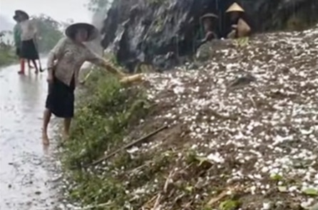 Mưa đá ào ạt kéo dài hơn 20 phút tại Mèo Vạc (Hà Giang)