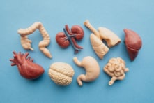 Ảnh hưởng của cảm xúc đến cơ quan nội tạng