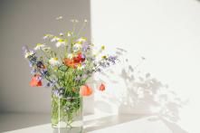 Làm mới không gian ở bằng hiệu ứng ‘bông hoa nhỏ’