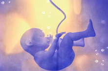 Nghiên cứu: Dây rốn nắm giữ câu trả lời cho bệnh tật trong tương lai