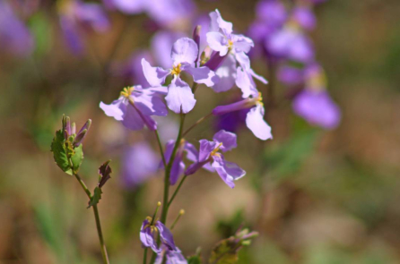 9 thói quen sống đáng học hỏi từ Tăng Quốc Phiên