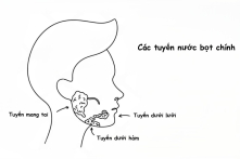 Nước bọt hé lộ nhiều điều về sức khỏe