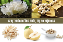 Giảm ho, bổ phổi bằng liệu pháp tự nhiên