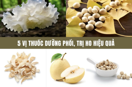 Giảm ho, bổ phổi bằng liệu pháp tự nhiên