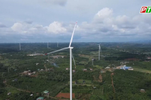 Đắk Nông: Nguyên Phó giám đốc Sở bị cảnh cáo vì sai phạm dự án điện gió