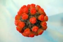 Phục hồi cơ thể sau nhiễm COVID-19 và tiêm vaccine