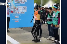 Gần 1.000 công ty Trung Quốc  tham gia vào lĩnh vực robot, chuyên gia: chiêu trò trục lợi vốn