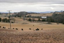 Vì sao chính quyền Trump cấm vốn Trung Quốc mua đất nông nghiệp Mỹ?