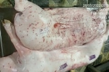 Bộ Nông nghiệp và Môi trường đề nghị Bộ Công an điều tra vụ Công ty C.P bị tố bán thịt heo bệnh