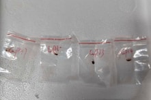 Vụ chất độc sinh học, chuyên gia: Mỹ đang đào tạo và vũ trang cho kẻ thù