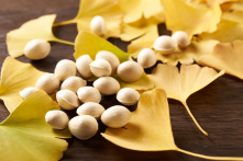 Bạch quả – Loài cây 200 triệu năm tuổi giúp cải thiện trí nhớ và tinh thần