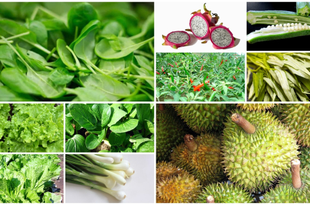 10 loại rau quả ở Việt Nam có nguy cơ nhiễm hóa chất cao nhất