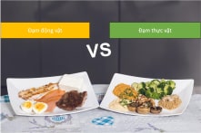 Đạm thực vật hay động vật? Câu trả lời tùy vào độ tuổi của bạn