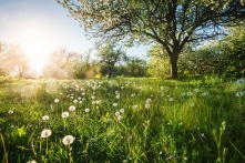 Đời người có 4 lần thức tỉnh: Nhận ra sớm để không lãng phí 10 năm