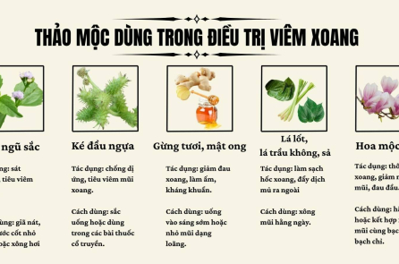 5 bài thuốc tự nhiên hỗ trợ điều trị viêm xoang
