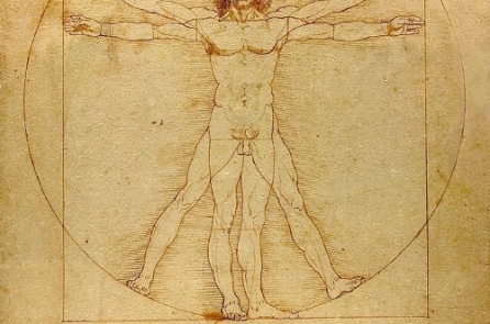 Mã hình học ẩn giấu ở “Vitruvian Man” của Leonardo Da Vinci được tiết lộ