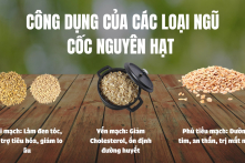 Ngũ cốc nguyên hạt giúp điều hòa huyết áp, đường huyết và cholesterol