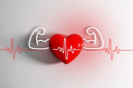 Nghiên cứu cho thấy tình yêu giúp trái tim khỏe mạnh