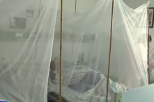 Sốt Chikungunya lan rộng khắp 12 thành phố ở Quảng Đông- Trung Quốc